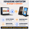 LCD-панель A10L-V 10.1" (настольная, одноэкранная)
