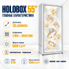 Holobox 55"