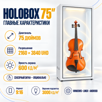 Holobox 75"