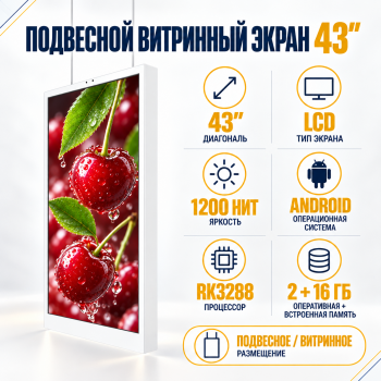 Витринный экран 43"