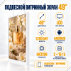 Витринный экран 49"