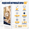 Витринный экран 55"