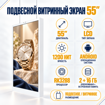 Витринный экран 55"